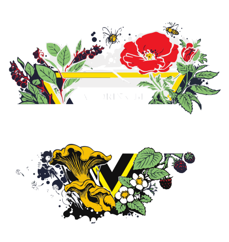 wild-logo-nobackground